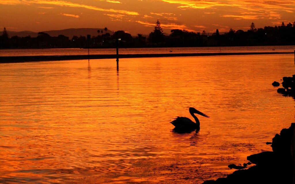 River Sunset