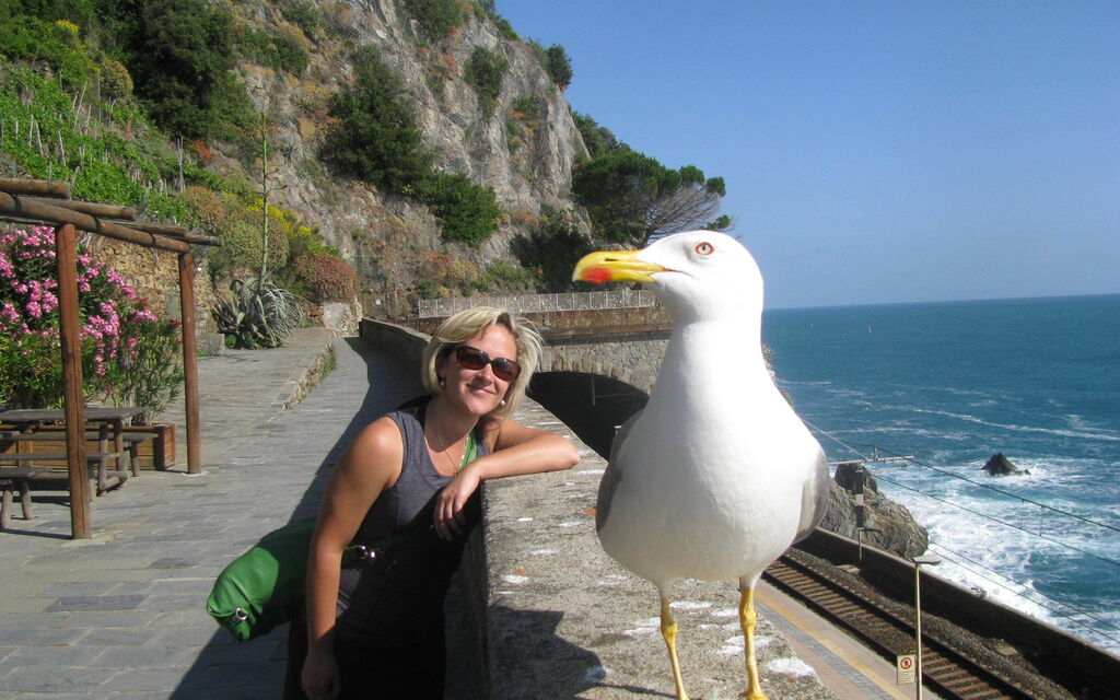 Cinque Terre Colours
