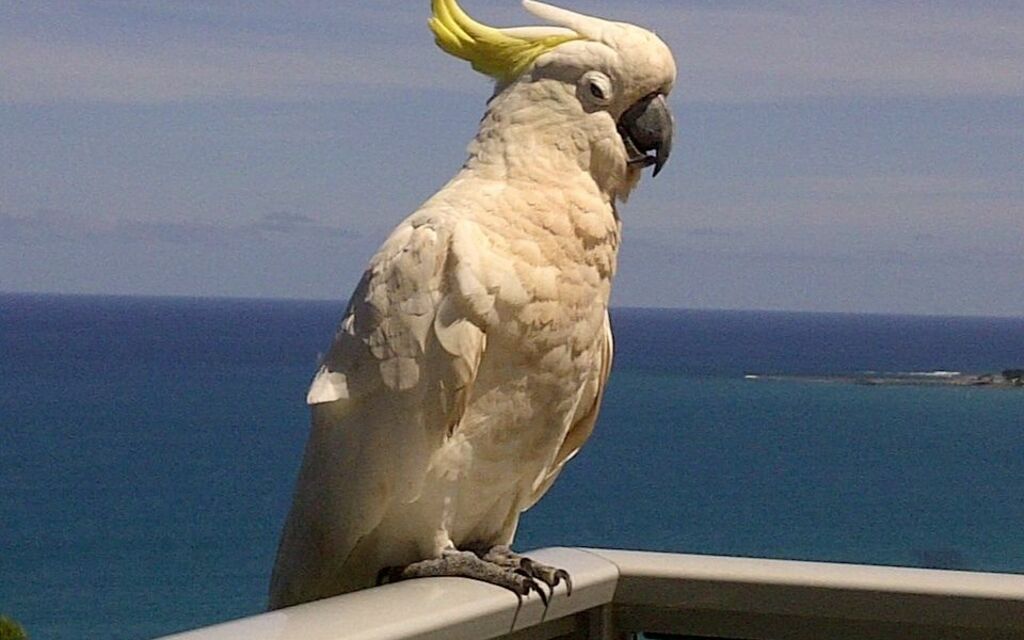 Look who's come to visit!