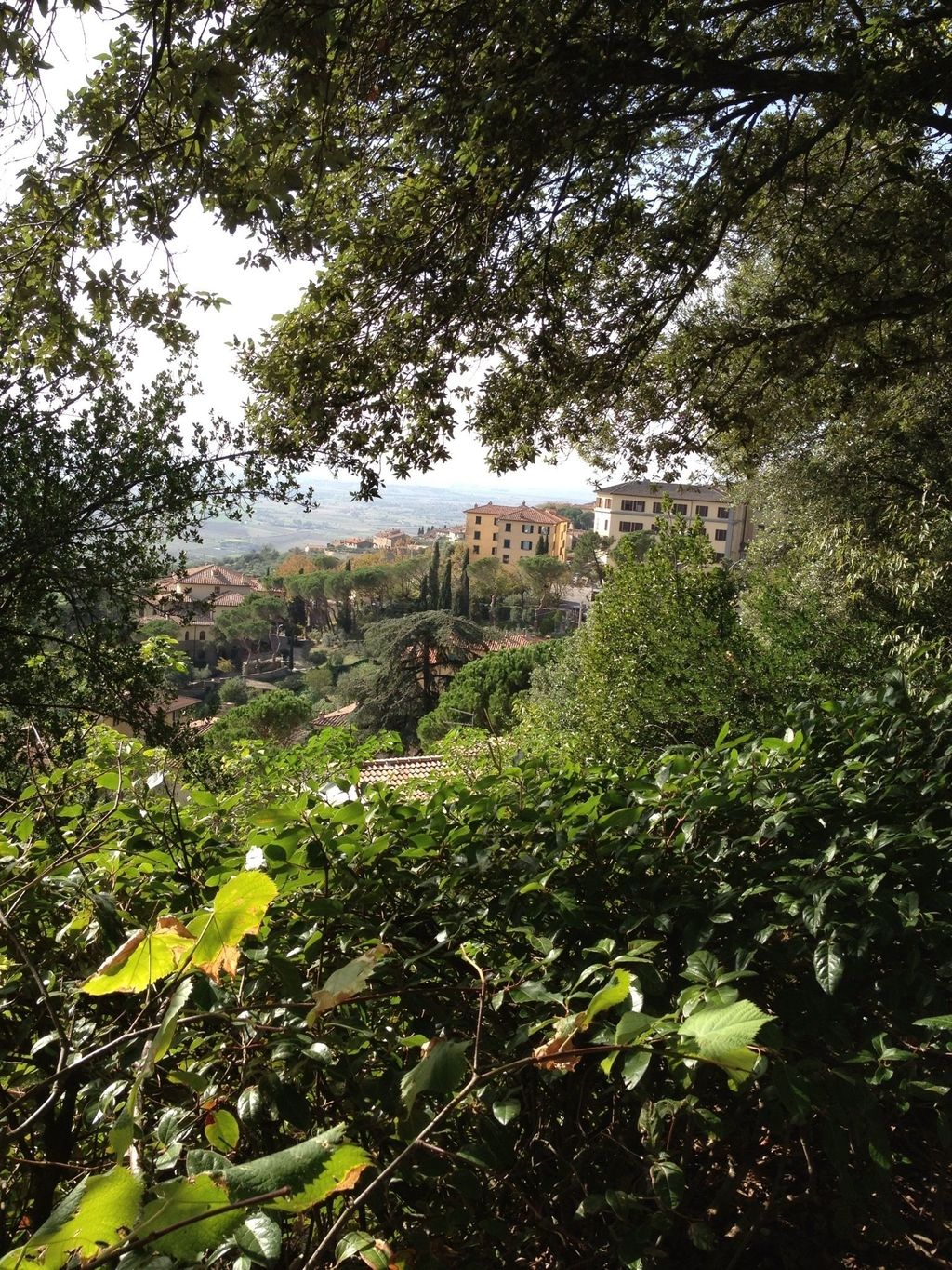 View from Cortona