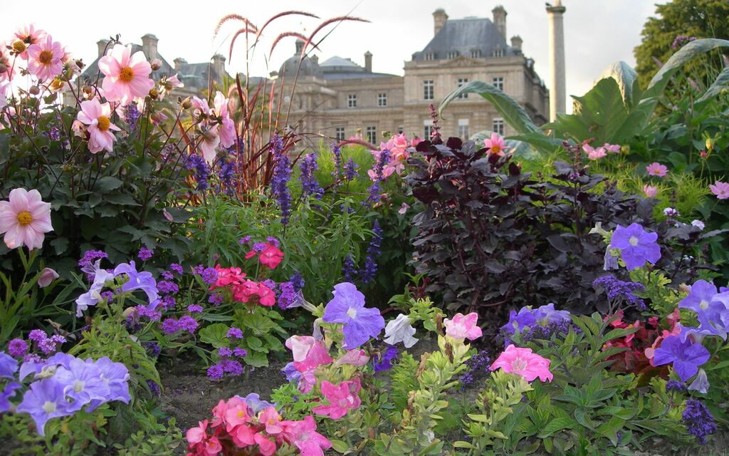 giardino fiorito