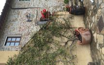 Foto ingevoerd door een huurder van Villa Sonia