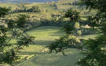 Foto ingevoerd door een huurder van Villa la Vedetta