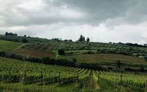 Foto ingevoerd door een huurder van Villa Ferdinando
