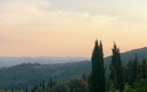 Foto ingevoerd door een huurder van Pozza di Volpaia