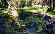 Foto ingevoerd door een huurder van Casa Cipressi