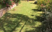 Foto ingevoerd door een huurder van Casa Cipressi