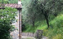 Foto ingevoerd door een huurder van Villa Mastiano