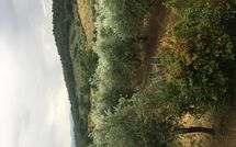 Foto ingevoerd door een huurder van Montescalari