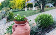 Foto ingevoerd door een huurder van Gli Appartamenti di Manuela