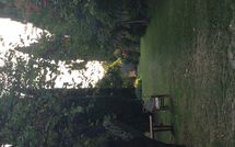 Foto ingevoerd door een huurder van Montegufoni