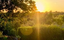 Foto ingevoerd door een huurder van Country House Il Galleto