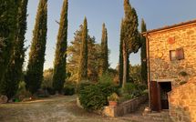 Foto ingevoerd door een huurder van Country House Il Galleto