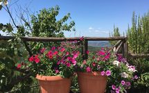 Foto ingevoerd door een huurder van Casetta i Ciliegi