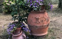 Foto ingevoerd door een huurder van Villa Flora