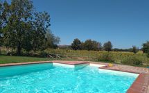 Foto ingevoerd door een huurder van Il Viaggiolo