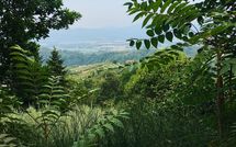 Foto ingevoerd door een huurder van Villa Filippo