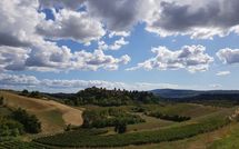 Foto ingevoerd door een huurder van Certaldo