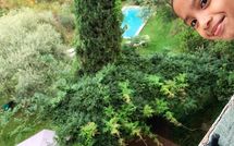 Foto ingevoerd door een huurder van La Macchietta