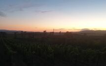 Foto ingevoerd door een huurder van Borgo Casa di Lappi