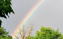 Foto ingevoerd door een huurder van Pagliazzone