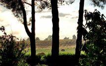 Foto ingevoerd door een huurder van Pagliazzone