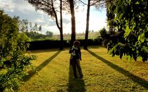 Foto ingevoerd door een huurder van Pagliazzone