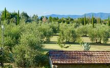 Foto ingevoerd door een huurder van Galleria di Brolio