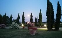 Foto ingevoerd door een huurder van Podere Marcigliano