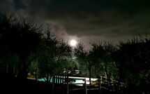 Foto ingevoerd door een huurder van Villa Mastiano