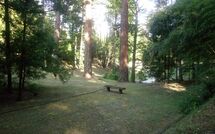 Foto ingevoerd door een huurder van Villa della Nave