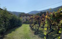 Foto ingevoerd door een huurder van Bettina!