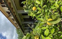 Foto ingevoerd door een huurder van Vinci 980