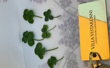 Foto ingevoerd door een huurder van Contessa di Gaiole