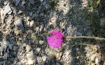 Foto ingevoerd door een huurder van Contessa di Gaiole