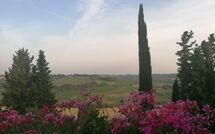 Foto ingevoerd door een huurder van Montegufoni