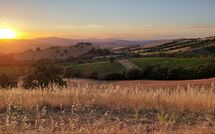 Foto ingevoerd door een huurder van Scansano 100