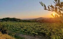 Foto ingevoerd door een huurder van Villa Giotto