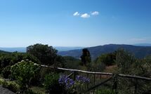 Foto ingevoerd door een huurder van Casetta i Ciliegi