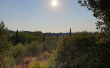 Foto ingevoerd door een huurder van Campo Valerio
