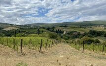 Foto ingevoerd door een huurder van Vittoriana