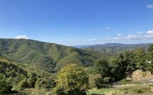 Foto ingevoerd door een huurder van Villa Margherita