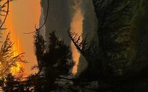 Foto ingevoerd door een huurder van Radda in Chianti 850