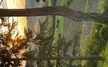 Foto ingevoerd door een huurder van Radda in Chianti 850