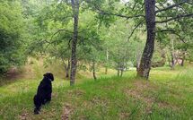 Foto ingevoerd door een huurder van Vignoli