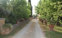 Foto ingevoerd door een huurder van Tenuta Il Tresto