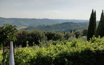 Foto ingevoerd door een huurder van Pozza di Volpaia