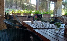 Foto ingevoerd door een huurder van Pozza di Volpaia