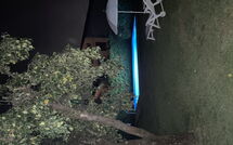 Foto ingevoerd door een huurder van La Capannella