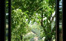 Foto ingevoerd door een huurder van Val di Gallo 4